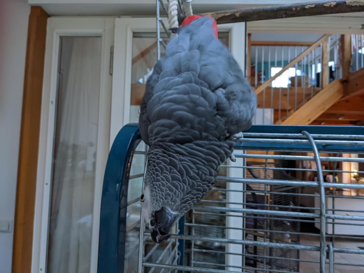 Ferienhaus Eichhof, Garlstorf - Lueneburger Heide Luaran gambar